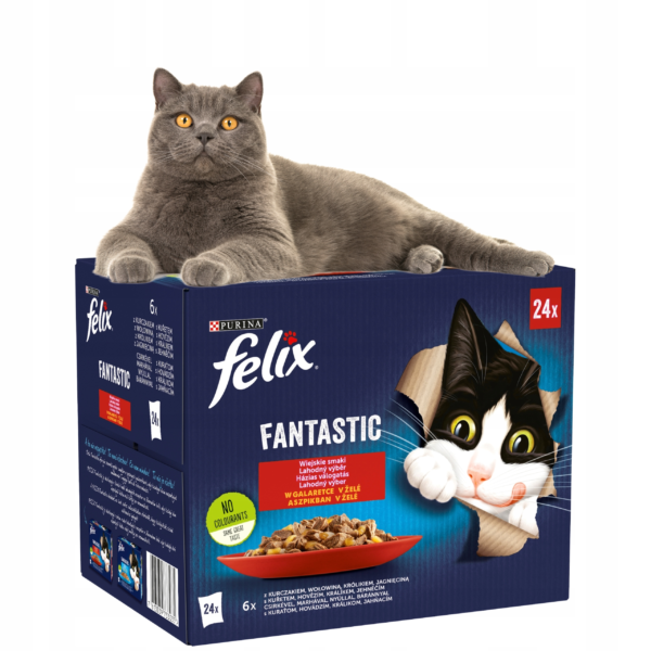 Felix Fantastic tarretises (24x85g)